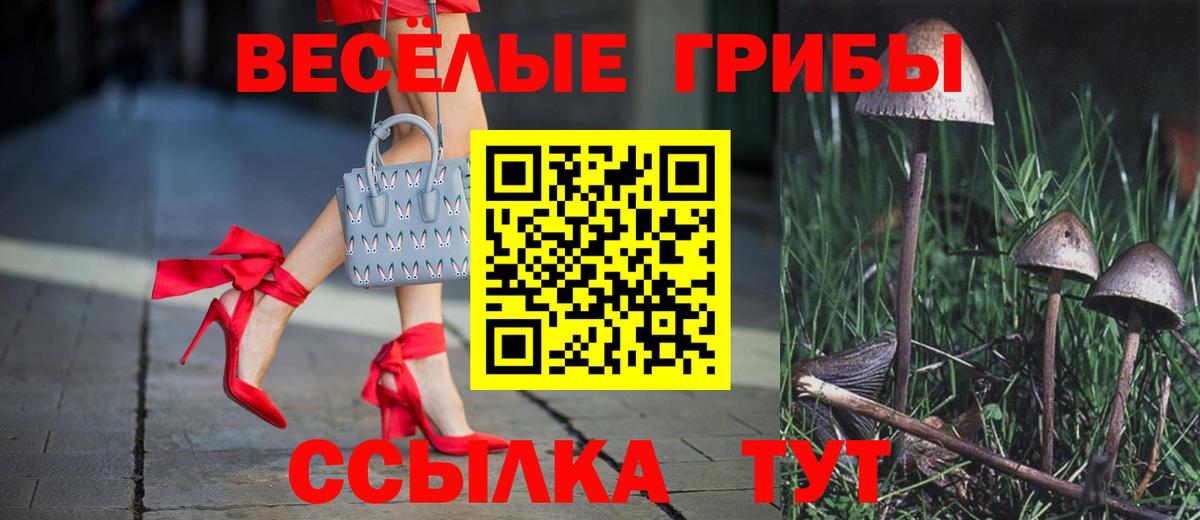 цены наркотик  Псилоцибиновые грибы мицелий  Вход с VPN  Камень-на-Оби 